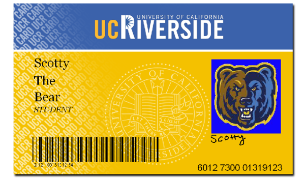 2006-2008 R'Card